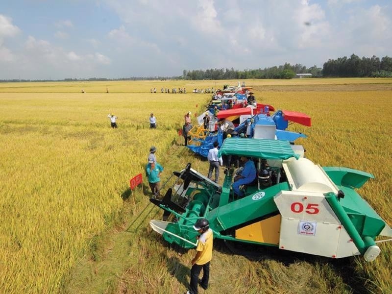 Nông nghiệp đóng góp gần 15% GDP quốc gia, là ngành kinh tế nền tảng đảm bảo an sinh xã hội, nhưng cũng là lĩnh vực chịu nhiều rủi ro.