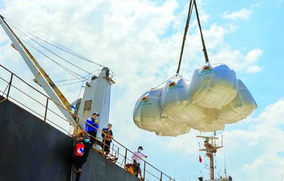 Giá gạo xuất khẩu trung bình 4 tháng đầu năm 2025 giảm 19,8% so với cùng kỳ năm 2024