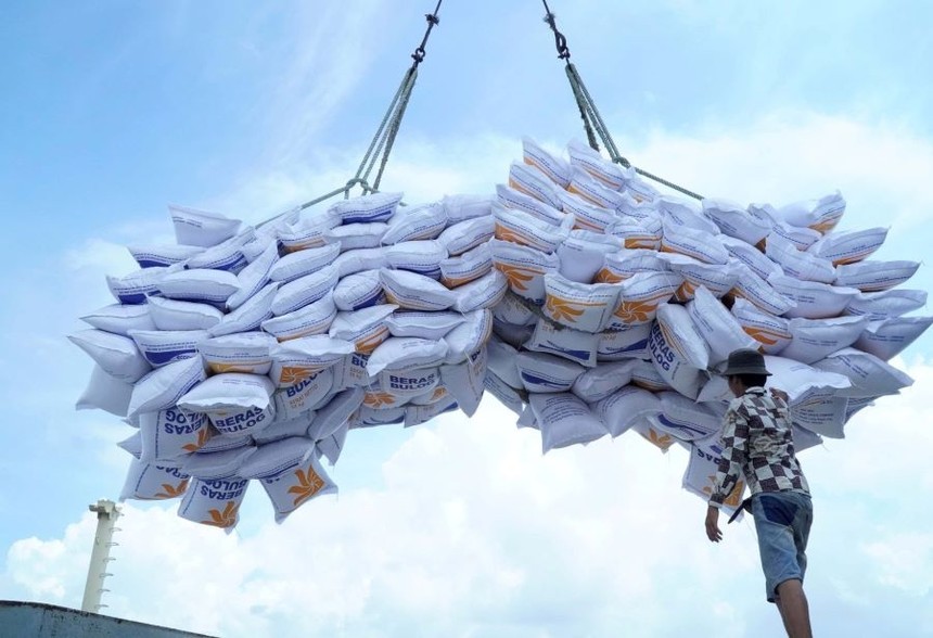 VCCI kiến nghị bãi bỏ loạt quy định cản trở doanh nghiệp xuất khẩu gạo.