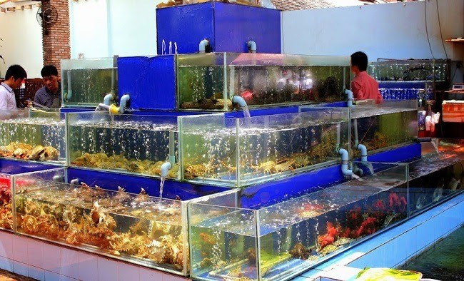 Bộ Tài chính: Có hộ kinh doanh đạt doanh thu lên đến 560 tỷ đồng/năm