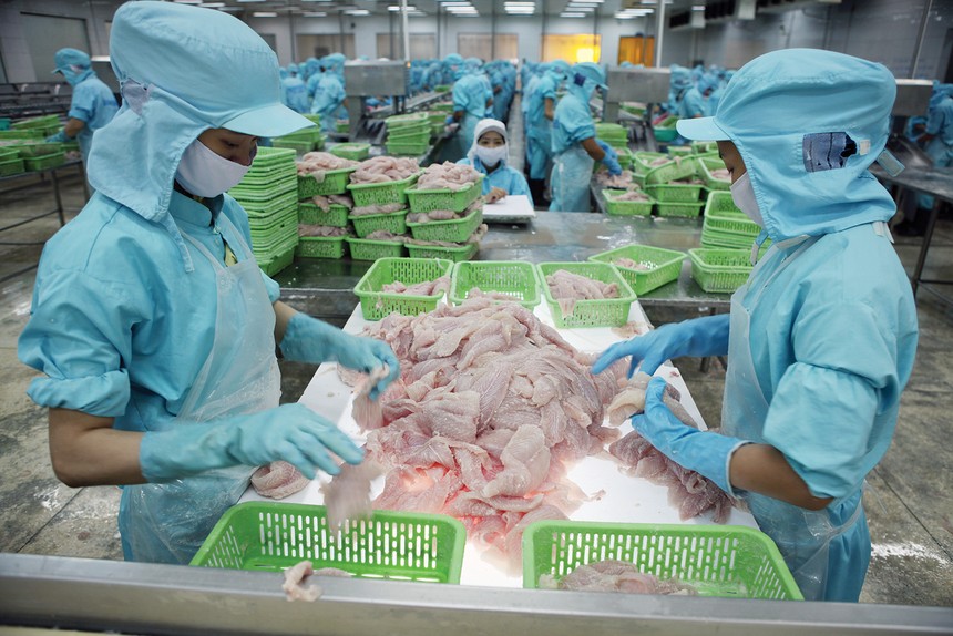 Xuất khẩu tôm, cá tra, gỗ đang phụ thuộc vào chính sách thuế đối ứng của Mỹ