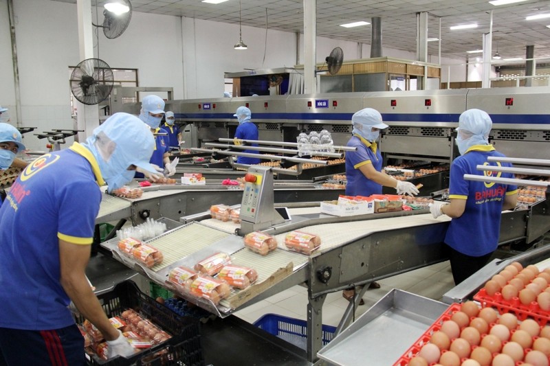 Doanh nghiệp lương thực thực phẩm TP.HCM đang gặp cảnh "tiến thoái lưỡng nan" trong in ấn bao bì sản phẩm