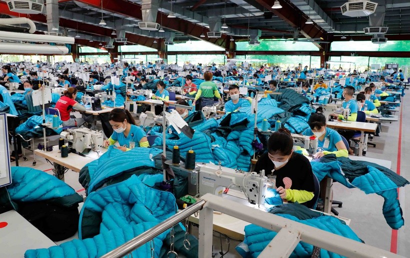 Nhu cầu tuyển dụng lao động của doanh nghiệp dệt may TP.HCM lớn
