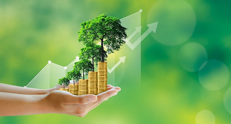 Thúc đẩy tài chính xanh để hút dòng vốn tỷ USD