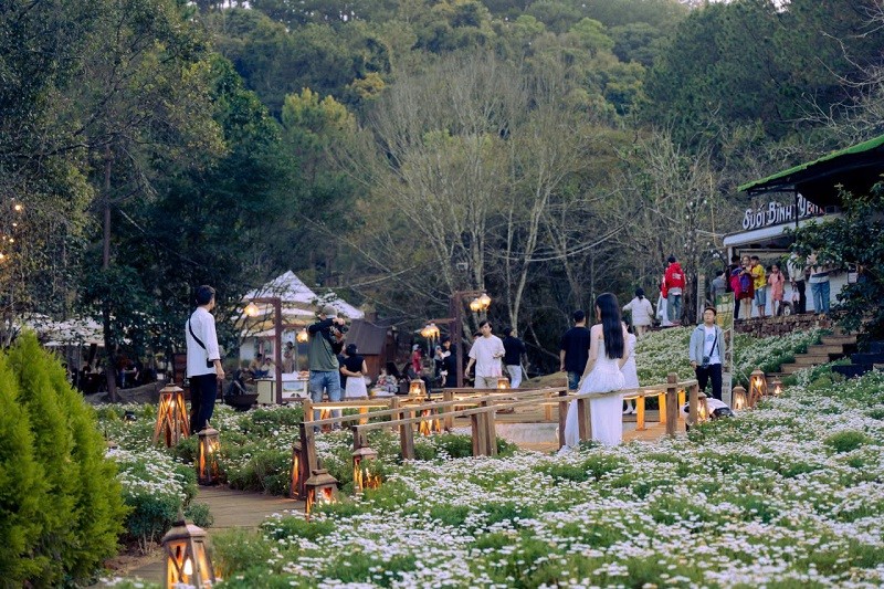 Lâm Đồng sẽ thanh, kiểm tra hoạt động “tour giá rẻ”