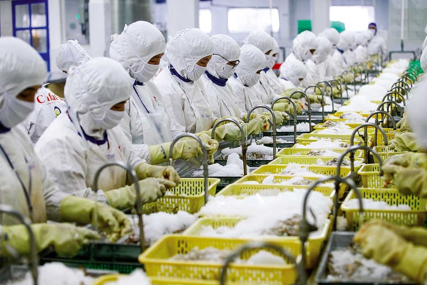 Kim ngạch xuất khẩu gần 10 tháng đã vượt mục tiêu đề ra, song chặng đường còn lại của năm 2025 vẫn nhiều rào cản. 