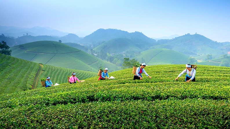 Thái Nguyên kết hợp phát triển OCOP và du lịch nông thôn bền vững 