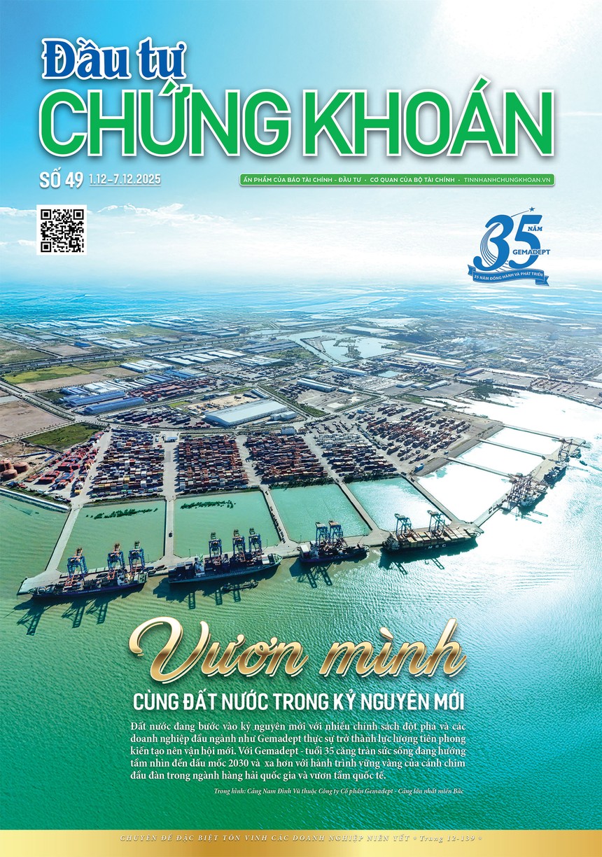 Báo Đầu tư Chứng khoán số 49