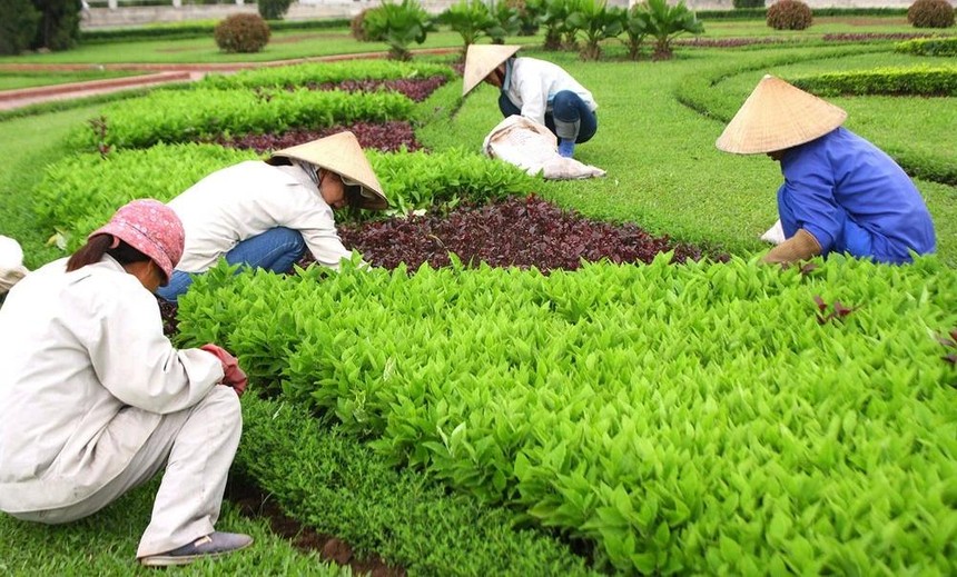 Hà Nội: Mời thầu 2 gói thầu cung cấp dịch vụ công ích tại xã Thuận An