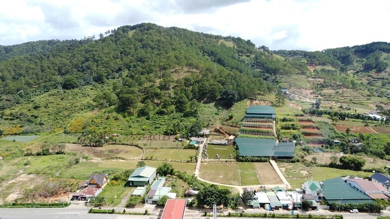 Lâm Đồng sẽ xây dựng, hình thành được một số các chính sách, cơ chế ưu đãi đặc thù nhằm thu hút các nhà đầu tư, các nhà khoa học lớn trên thế giới quy tụ về Cao nguyên Di Linh. Ảnh: Linh Đan 