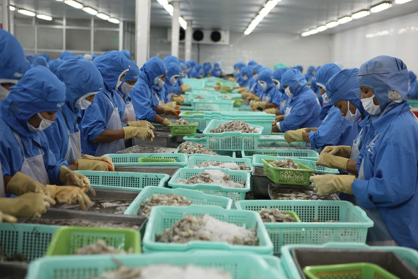 Xuất khẩu 11 tháng năm 2025 tăng 14,6% so với cùng kỳ, đưa nhiều doanh nghiệp thuỷ sản băng băng về đích