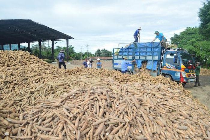 Nông sản thực phẩm Quảng Ngãi (APF) chia cổ tức bằng cổ phiếu, tỷ lệ 10:1