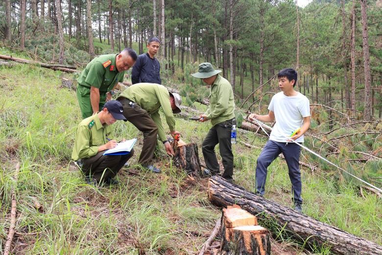 Lực lượng Công an phối hợp cùng cơ quan chức năng khám nghiệm hiện trường. (Nguồn: Bộ Công An)