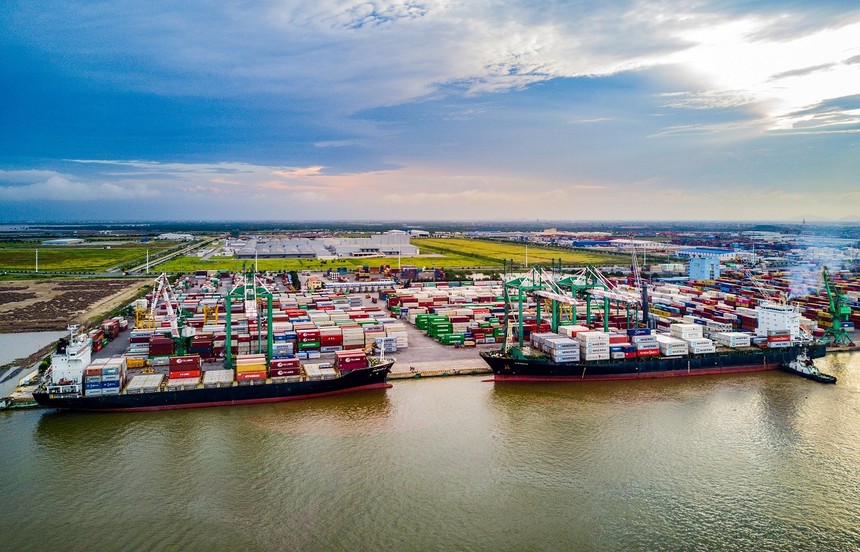 Cảng Xanh VIP (VGR) tạm ứng cổ tức năm 2025, tỷ lệ 20% bằng tiền