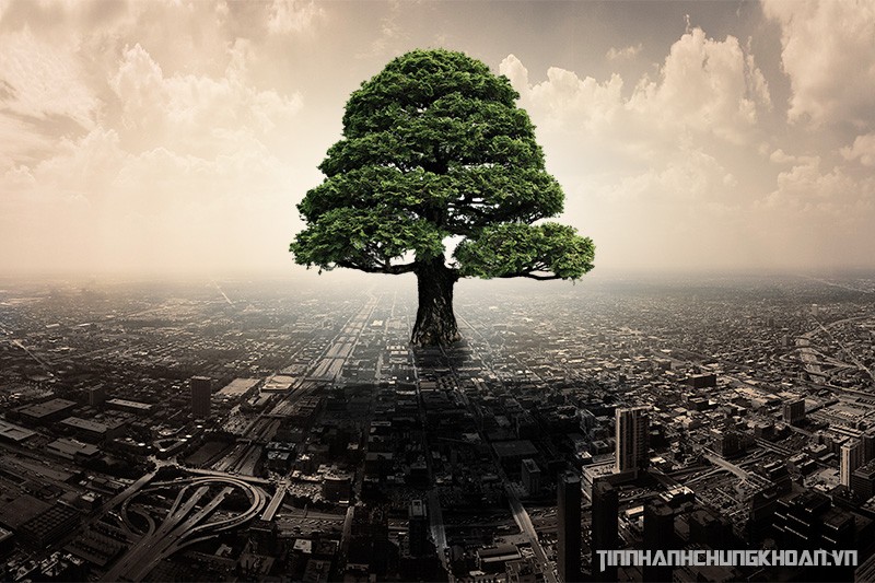 Sự kiện chứng khoán đáng chú ý ngày 16/12