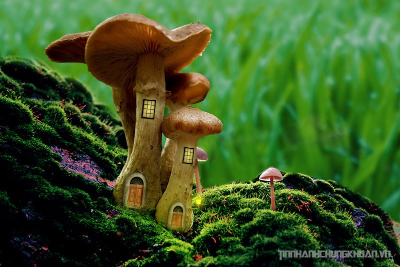 Sự kiện chứng khoán đáng chú ý ngày 21/2