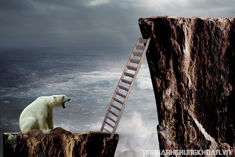 IR tốt sẽ nâng tầm doanh nghiệp