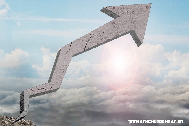 Thích nghi trong kỷ nguyên biến động