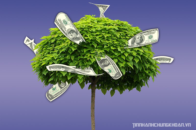 Đấu giá cổ phần không dễ hút khách