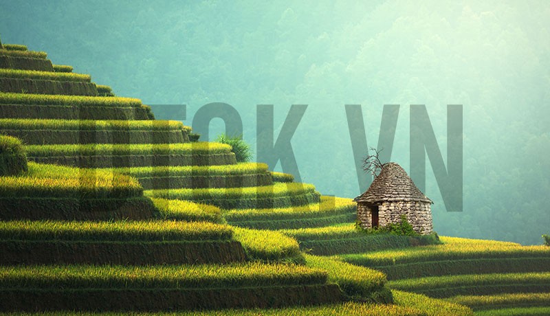 Sự khác biệt giữa phong thủy Việt và các nước (phần 1)