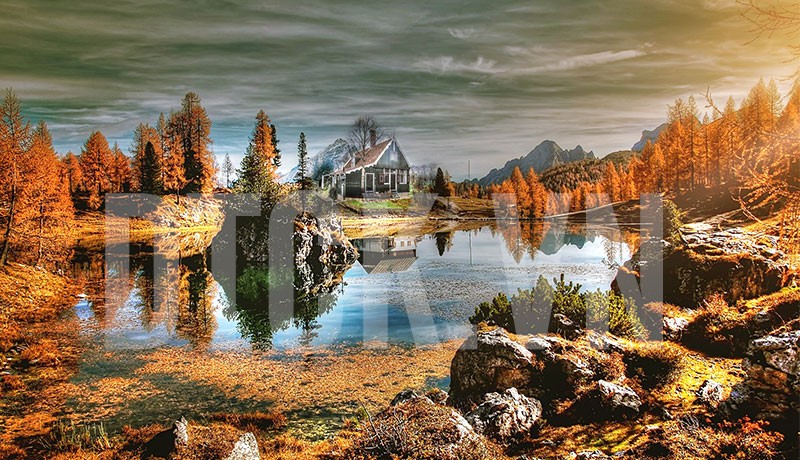 Top 10 cổ phiếu tăng/giảm mạnh nhất tuần: Nhiều cổ phiếu ngược dòng