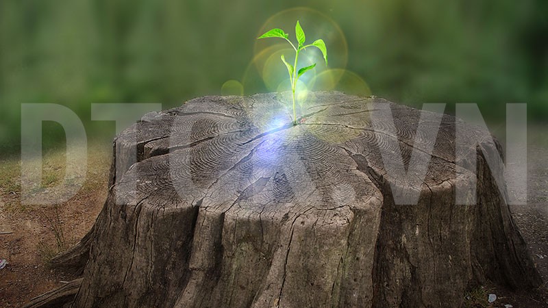 Nhận định thị trường phiên 24/7: Hoạt động gia tăng tỷ trọng lên mức cao nên được hạn chế