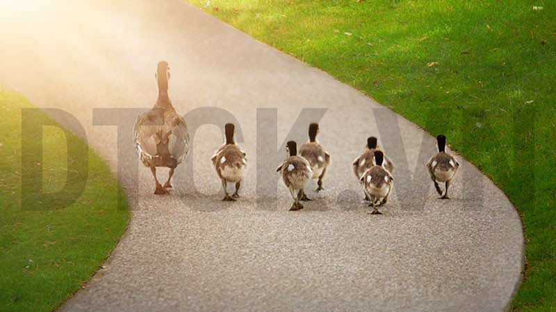 Nhận định thị trường phiên 12/3: Giải ngân khi có những tín hiệu tăng điểm rõ ràng hơn