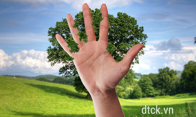 Luật Kinh doanh bảo hiểm: Nhiều nội dung cần sửa đổi, bổ sung