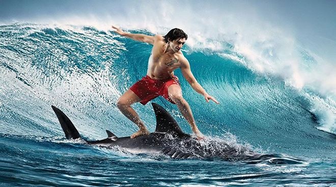 Bàn tròn chứng khoán: Đua sóng penny, rủi ro lớn hơn cơ hội