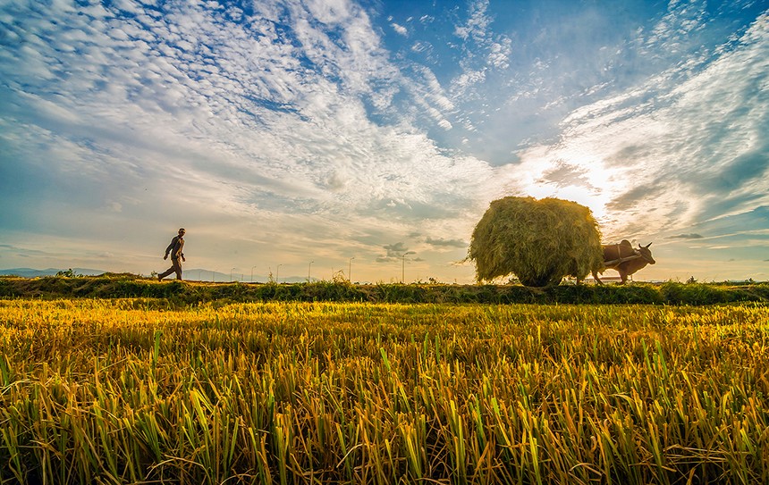 Sự kiện chứng khoán đáng chú ý ngày 16/7