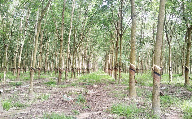 DPR: Cổ đông kêu thiệt