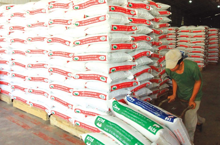 Ngô là một trong những loại nguyên liệu chủ yếu trong sản xuất thức ăn chăn nuôi