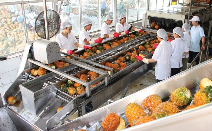 Các doanh nhân đang mạnh dạn hơn trong việc tăng đầu tư vốn để kinh doanh, mở rộng sản xuất
