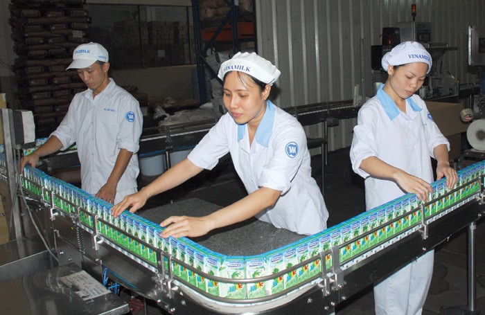 Tại thời điểm cuối tháng 6/2014, lượng tiền mặt của Vinamilk lên đến hơn 7.000 tỷ đồng, 
chiếm xấp xỉ 30% tổng tài sản - Ảnh: Lê Toàn