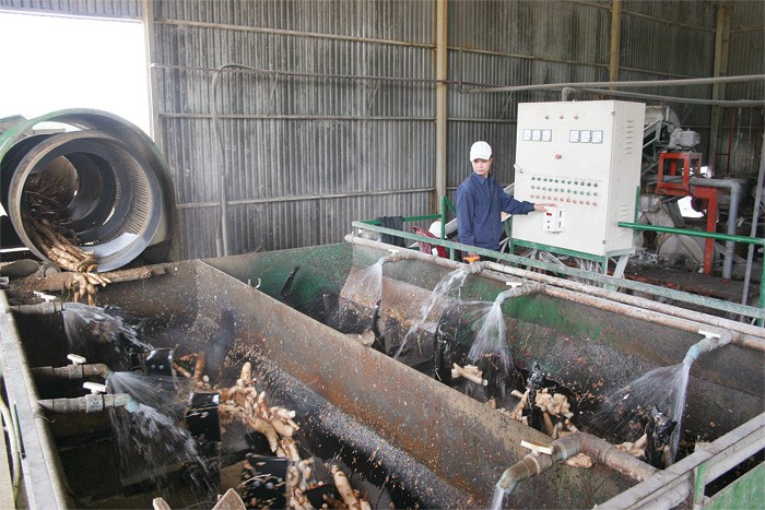 Kết quả điều tra cho thấy, quy mô của các DNVVN năm 2013 không tăng so với
năm 2011