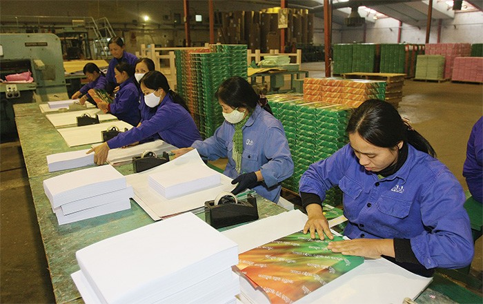 Các DNBH vẫn hy vọng có những chính sách ưu đãi tốt hơn nữa về thuế cho bảo hiểm hưu trí tự nguyện
