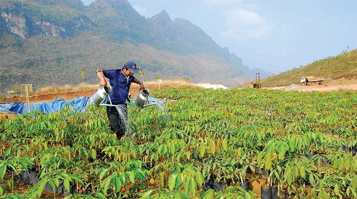 Cần có hệ thống DN đủ mạnh để nhận vốn đầu tư vào vùng khó khăn