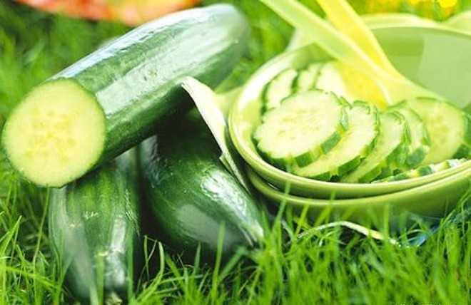 Cả PAN và NSC đều có định hướng đầu tư chuyên sâu vào lĩnh vực nông nghiệp