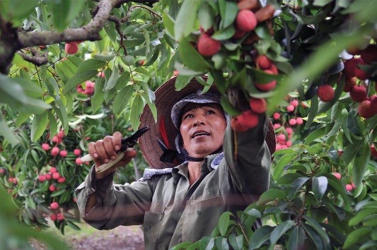 Khó khăn bủa vây, GDP vẫn ước vượt 6,5%