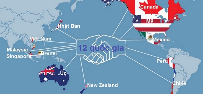 Cam kết của Việt Nam trong lĩnh vực ngân hàng tại Hiệp định Đối tác Xuyên Thái Bình Dương (và trong cả hiệp định thương mại tự do với EU) về cơ bản giống như cam kết đã có khi gia nhập WTO
