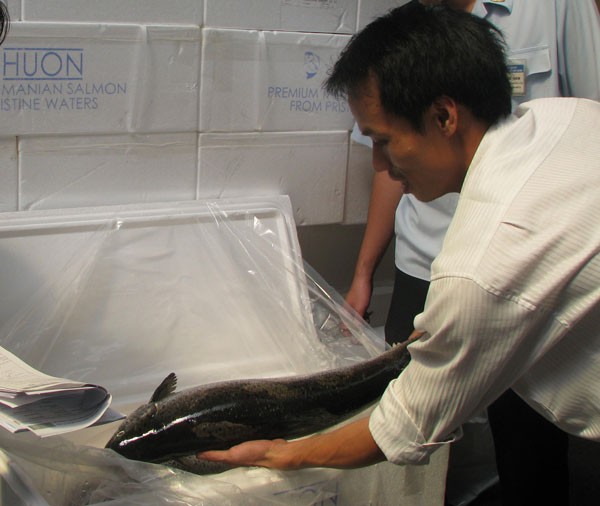 Mặt hàng thuộc đối tượng phải kiểm tra an toàn thực phẩm khi NK là rất nhiều. Ảnh: T.H

