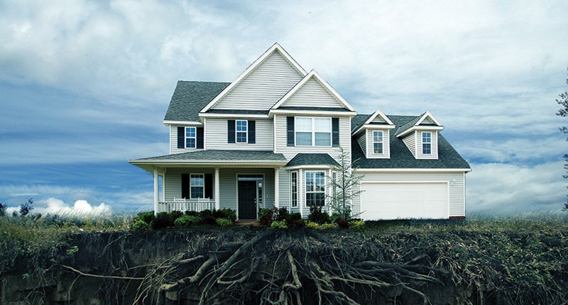 Đồ Họa: Ngọc Tuấn

