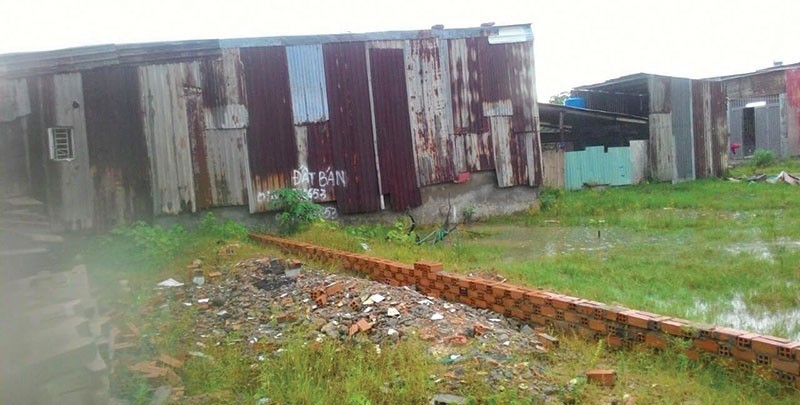 Một khu nhà tạm bợ tại huyện Bình Chánh. Ảnh: Lê Thắng