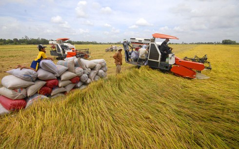 Thủ tướng chủ trì Hội nghị quy mô nhất từ trước đến nay về phát triển bền vững ĐBSCL