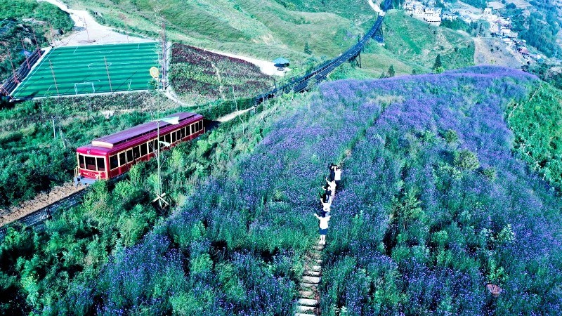 Tàu hỏa leo núi Mường Hoa do Tập đoàn Sun Group đầu tư.