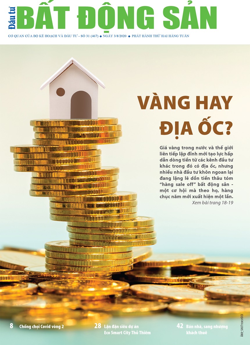 Đầu tư Bất động sản số 31/2020