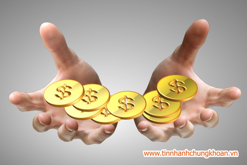 Năm 2013, Quản lý quỹ Việt Long đạt 3,8 tỷ đồng lợi nhuận