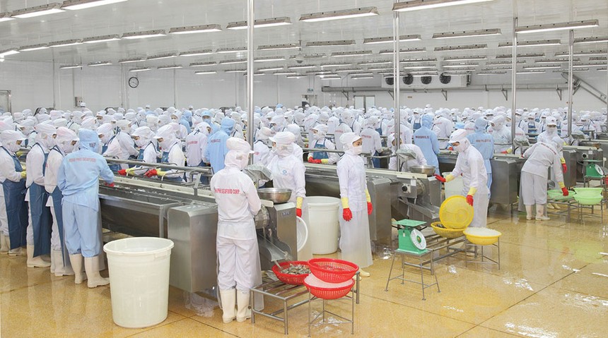 Minh Phú (MPC) sẽ niêm yết trên HOSE vào năm 2019