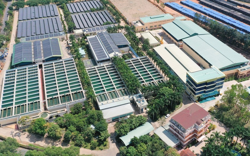 Biwase (BWE) đặt mục tiêu doanh thu 5.400 tỷ đồng và phương án tăng vốn quy mô lớn trong năm 2026