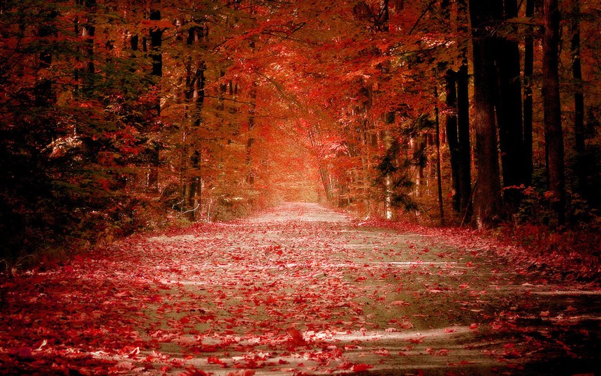 Thị trường tài chính 24h: Giá vàng tăng phi mã